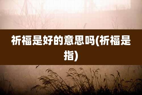 祈福是好的意思吗(祈福是指)