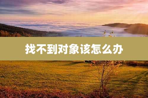 找不到对象该怎么办