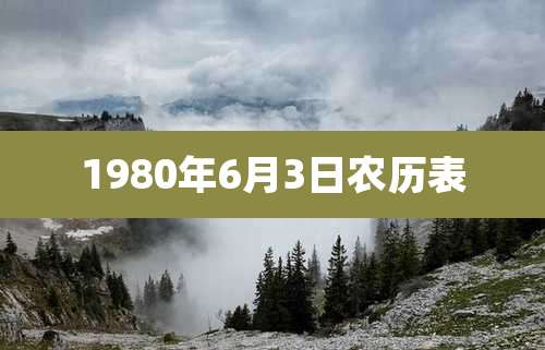 1980年6月3日农历表