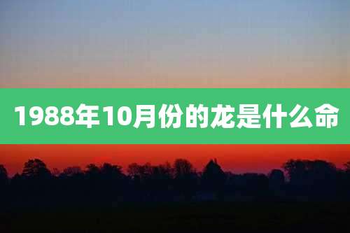 1988年10月份的龙是什么命