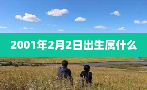 2001年2月2日出生属什么