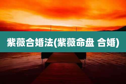 紫薇合婚法(紫薇命盘 合婚)