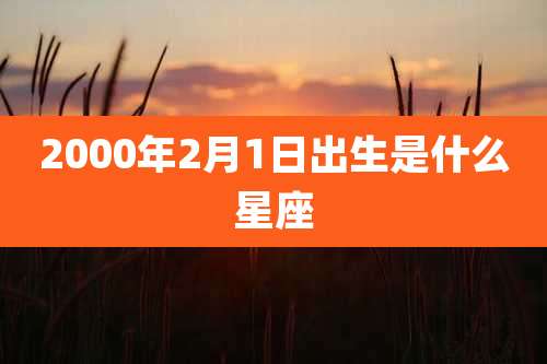 2000年2月1日出生是什么星座