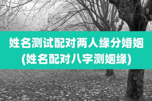 姓名测试配对两人缘分婚姻(姓名配对八字测姻缘)