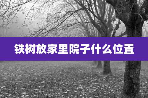 铁树放家里院子什么位置