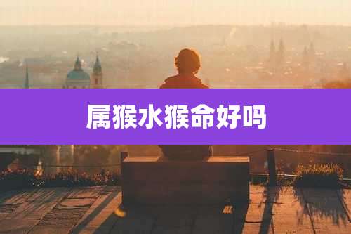 属猴水猴命好吗