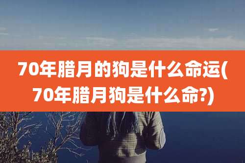 70年腊月的狗是什么命运(70年腊月狗是什么命?)