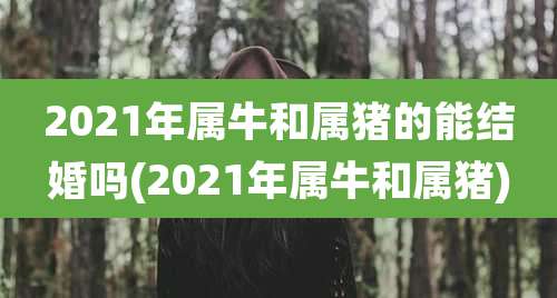 2021年属牛和属猪的能结婚吗(2021年属牛和属猪)