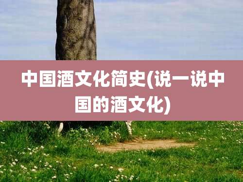 中国酒文化简史(说一说中国的酒文化)