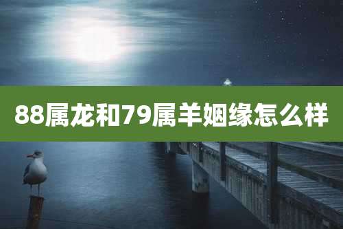 88属龙和79属羊姻缘怎么样