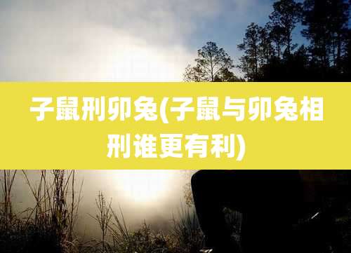 子鼠刑卯兔(子鼠与卯兔相刑谁更有利)