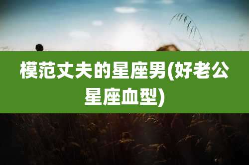 模范丈夫的星座男(好老公星座血型)