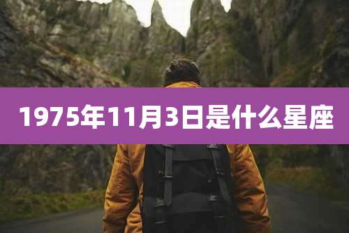 1975年11月3日是什么星座