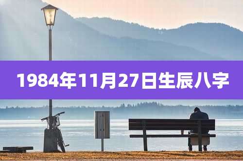 1984年11月27日生辰八字