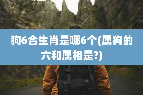 狗6合生肖是哪6个(属狗的六和属相是?)
