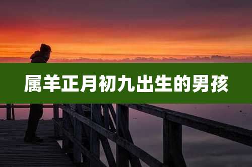 属羊正月初九出生的男孩