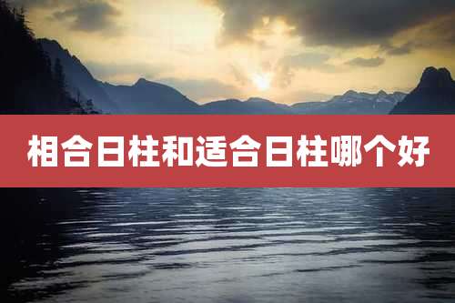 相合日柱和适合日柱哪个好