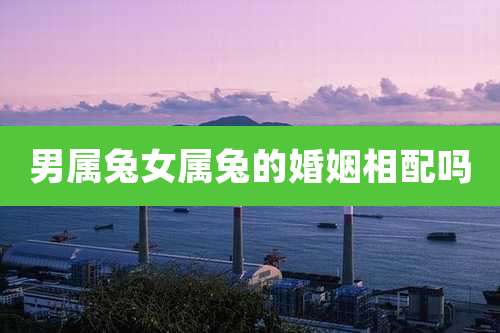 男属兔女属兔的婚姻相配吗