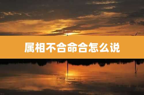 属相不合命合怎么说