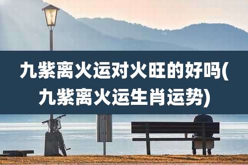 九紫离火运对火旺的好吗(九紫离火运生肖运势)