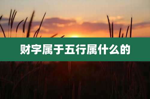 财字属于五行属什么的