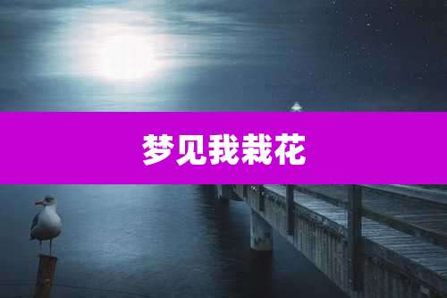 梦见我栽花