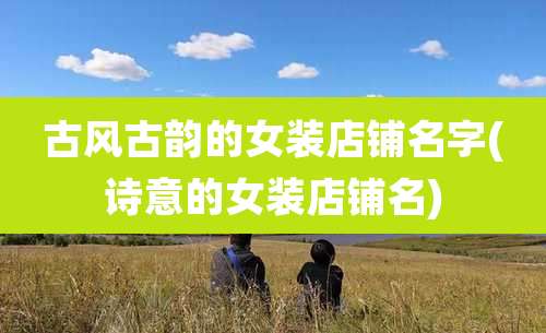 古风古韵的女装店铺名字(诗意的女装店铺名)
