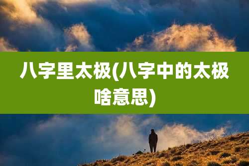 八字里太极(八字中的太极啥意思)