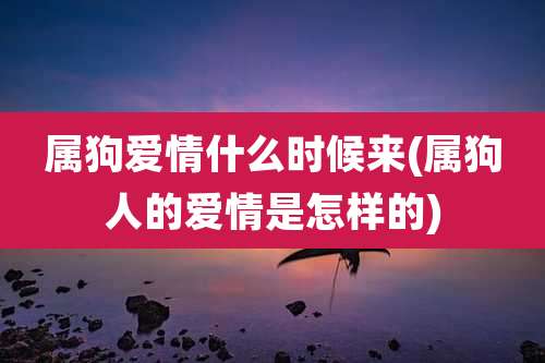属狗爱情什么时候来(属狗人的爱情是怎样的)