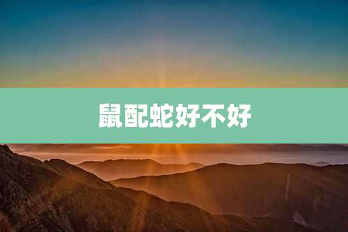 鼠配蛇好不好