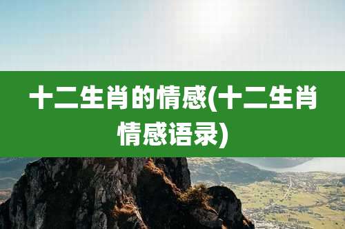 十二生肖的情感(十二生肖情感语录)