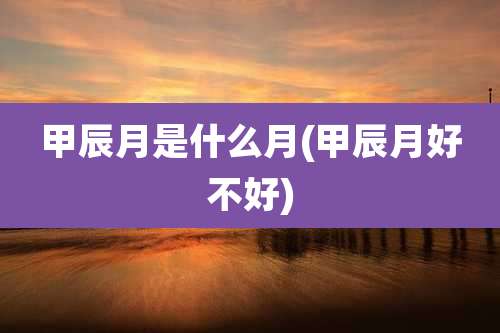 甲辰月是什么月(甲辰月好不好)