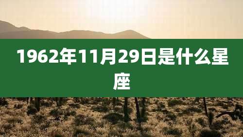 1962年11月29日是什么星座