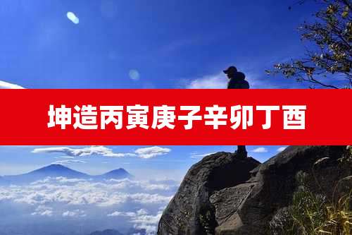 坤造丙寅庚子辛卯丁酉