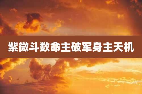 紫微斗数命主破军身主天机