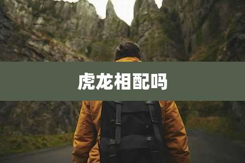 虎龙相配吗