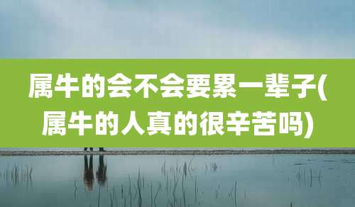 属牛的会不会要累一辈子(属牛的人真的很辛苦吗)