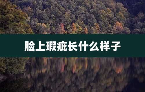 脸上瑕疵长什么样子