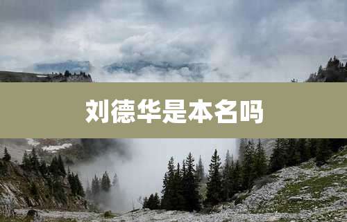 刘德华是本名吗