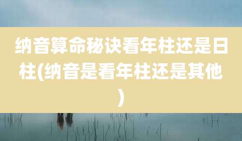 纳音算命秘诀看年柱还是日柱(纳音是看年柱还是其他)