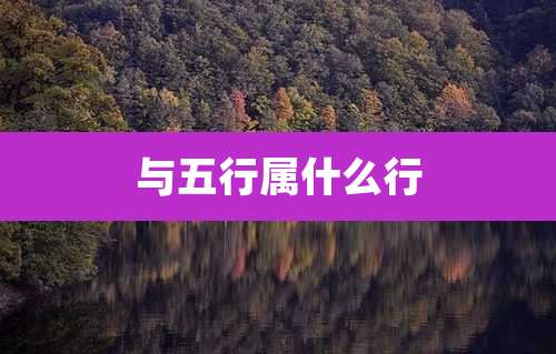 与五行属什么行