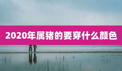 2020年属猪的要穿什么颜色
