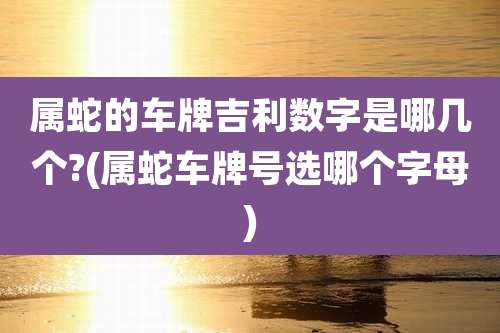 属蛇的车牌吉利数字是哪几个?(属蛇车牌号选哪个字母)