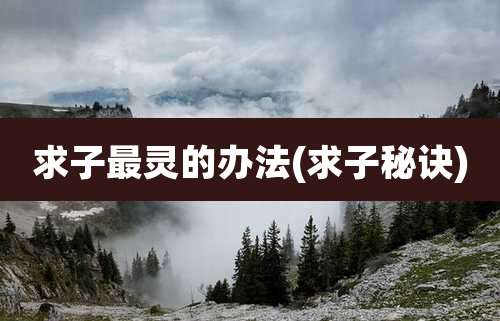求子最灵的办法(求子秘诀)