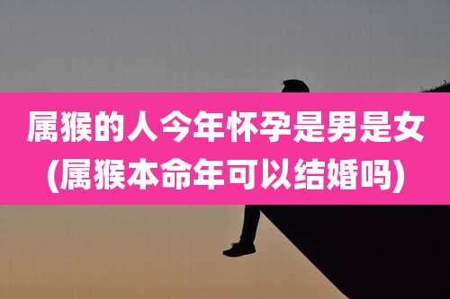 属猴的人今年怀孕是男是女(属猴本命年可以结婚吗)