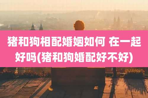 猪和狗相配婚姻如何 在一起好吗(猪和狗婚配好不好)