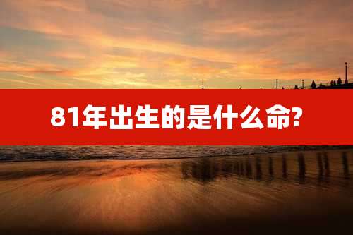 81年出生的是什么命?