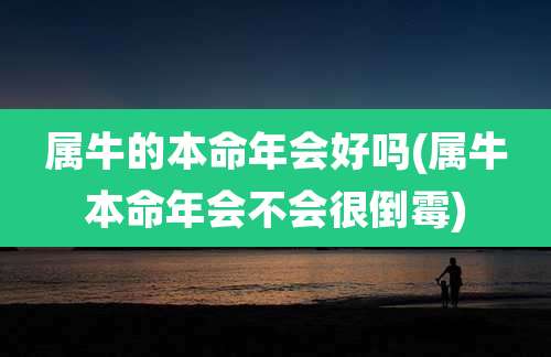 属牛的本命年会好吗(属牛本命年会不会很倒霉)