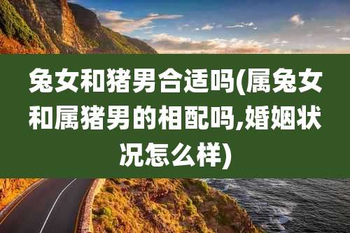 兔女和猪男合适吗(属兔女和属猪男的相配吗,婚姻状况怎么样)