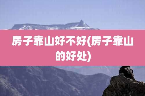 房子靠山好不好(房子靠山的好处)